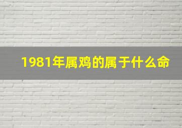 1981年属鸡的属于什么命