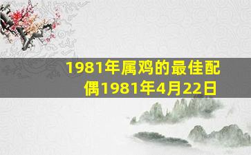 1981年属鸡的最佳配偶1981年4月22日