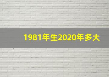 1981年生2020年多大