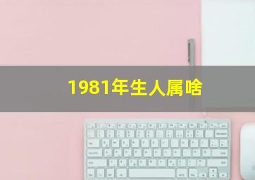 1981年生人属啥