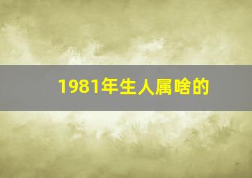 1981年生人属啥的