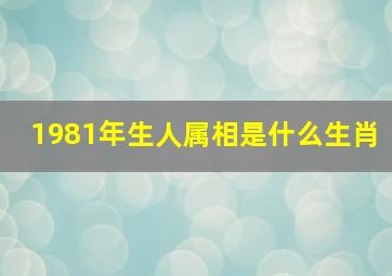 1981年生人属相是什么生肖