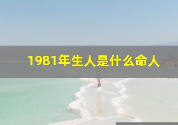 1981年生人是什么命人