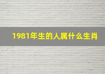 1981年生的人属什么生肖