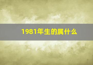 1981年生的属什么