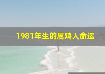 1981年生的属鸡人命运