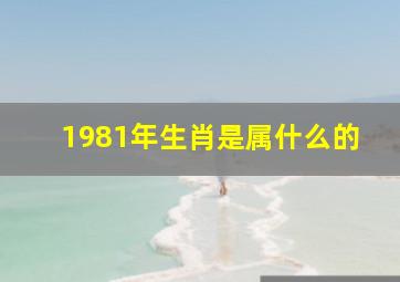 1981年生肖是属什么的