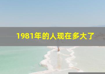 1981年的人现在多大了