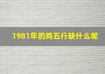 1981年的鸡五行缺什么呢