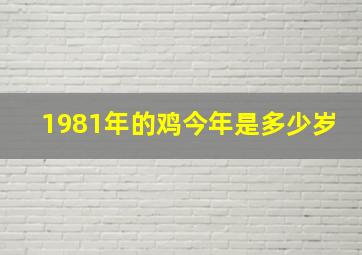 1981年的鸡今年是多少岁