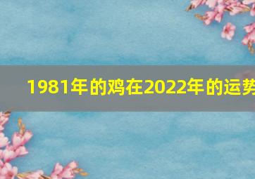 1981年的鸡在2022年的运势