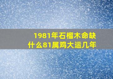 1981年石榴木命缺什么81属鸡大运几年