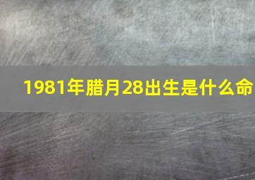 1981年腊月28出生是什么命