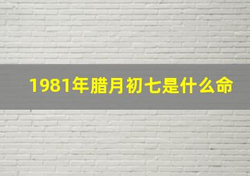 1981年腊月初七是什么命