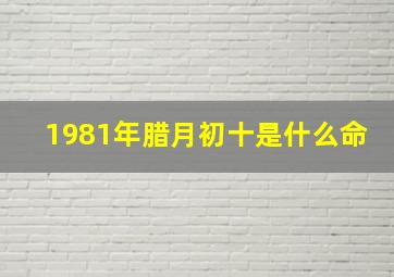 1981年腊月初十是什么命