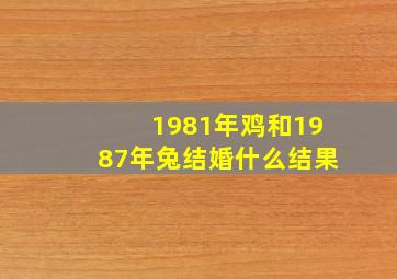 1981年鸡和1987年兔结婚什么结果