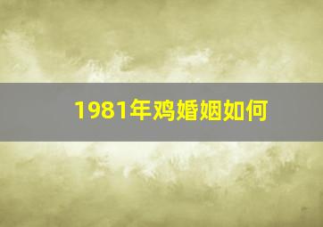 1981年鸡婚姻如何