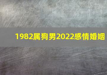 1982属狗男2022感情婚姻