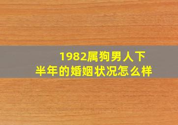 1982属狗男人下半年的婚姻状况怎么样