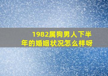 1982属狗男人下半年的婚姻状况怎么样呀