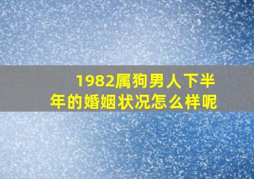 1982属狗男人下半年的婚姻状况怎么样呢