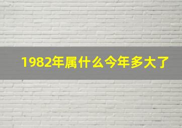 1982年属什么今年多大了