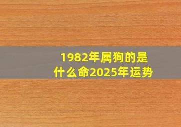 1982年属狗的是什么命2025年运势