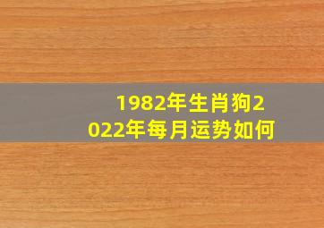 1982年生肖狗2022年每月运势如何