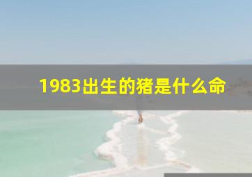 1983出生的猪是什么命