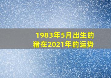 1983年5月出生的猪在2021年的运势