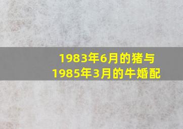 1983年6月的猪与1985年3月的牛婚配