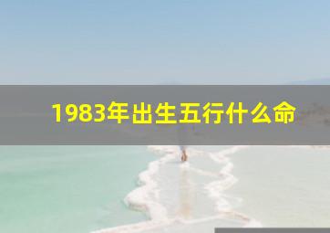 1983年出生五行什么命