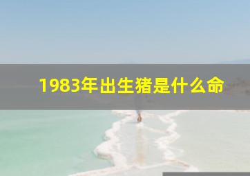 1983年出生猪是什么命