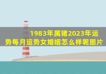 1983年属猪2023年运势每月运势女婚姻怎么样呢图片