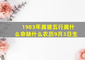 1983年属猪五行属什么命缺什么农历9月3日生