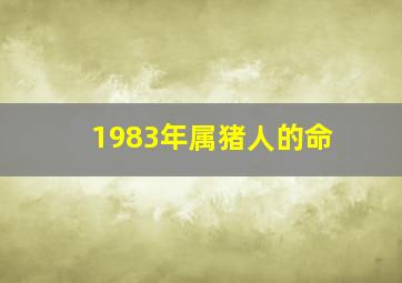 1983年属猪人的命