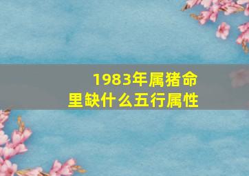 1983年属猪命里缺什么五行属性