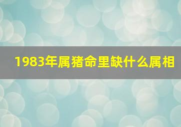 1983年属猪命里缺什么属相