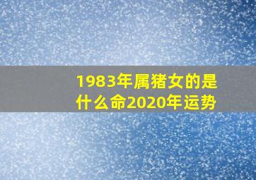 1983年属猪女的是什么命2020年运势