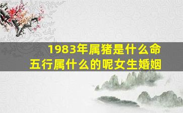 1983年属猪是什么命五行属什么的呢女生婚姻