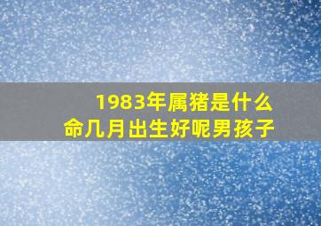 1983年属猪是什么命几月出生好呢男孩子