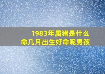 1983年属猪是什么命几月出生好命呢男孩