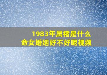 1983年属猪是什么命女婚姻好不好呢视频