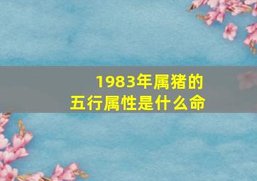 1983年属猪的五行属性是什么命