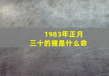 1983年正月三十的猪是什么命