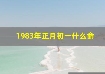 1983年正月初一什么命