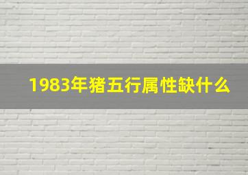 1983年猪五行属性缺什么