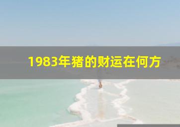 1983年猪的财运在何方