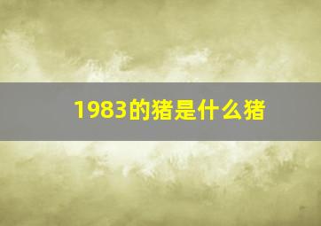 1983的猪是什么猪