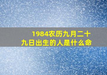 1984农历九月二十九日出生的人是什么命